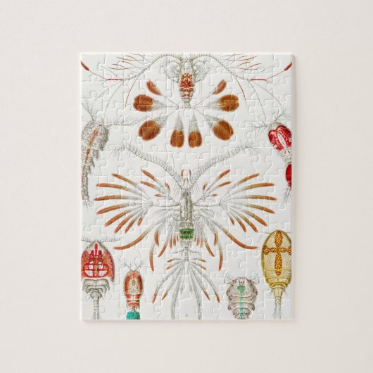 海洋生物の甲殻類、Copepoda by Ernst Haeckel ジグソーパズル (縦)