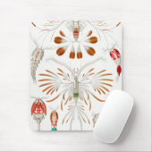 海洋生物の甲殻類、Copepoda by Ernst Haeckel マウスパッド (マウス)