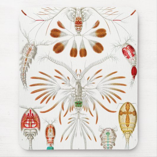 海洋生物の甲殻類、Copepoda by Ernst Haeckel マウスパッド (正面)