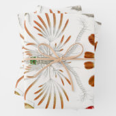 海洋生物の甲殻類、Copepoda by Ernst Haeckel ラッピングペーパーシート (インサイチュ)