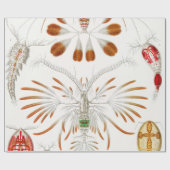 海洋生物の甲殻類、Copepoda by Ernst Haeckel ラッピングペーパー (フラット)