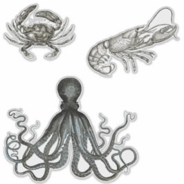 海洋生物の透明ビニールシール シール