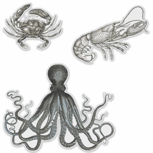 海洋生物の透明ビニールシール シール (正面)