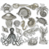 海洋生物の透明ビニールシール シール (正面)