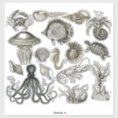 海洋生物の透明ビニールシール シール (シート)