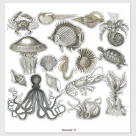 海洋生物の透明ビニールシール シール