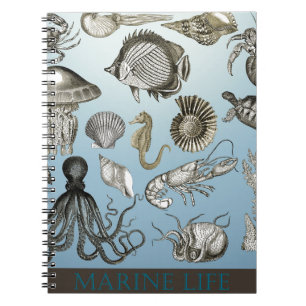海洋生物を救って下さい! ノートブック