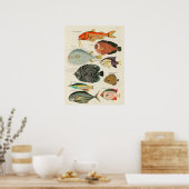 海洋生物カラフルを発見。ヴィンテージポスター。 ポスター (キッチン)