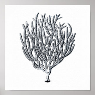 海洋生物グループ12Aプリント1 ポスター