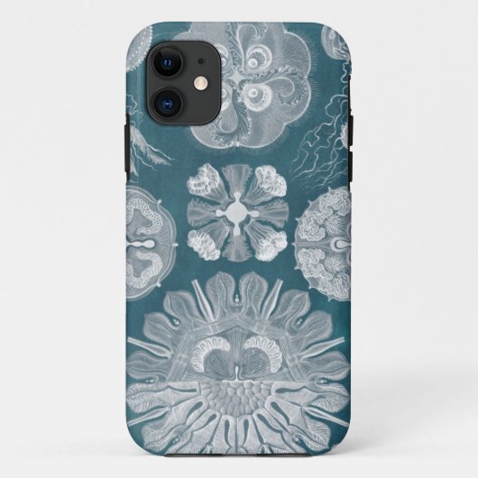 海洋生物ブループリントIV Case-Mate iPhoneケース (裏面)