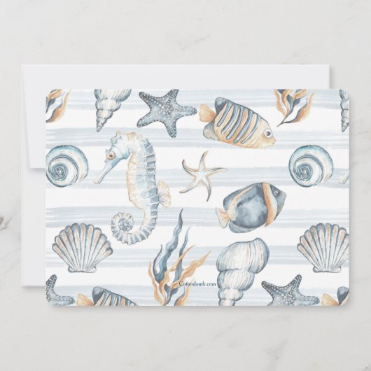 海洋生物写真誕生のお知らせ 案内状 (裏面)