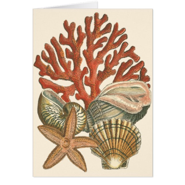 海洋生物収集 (正面)