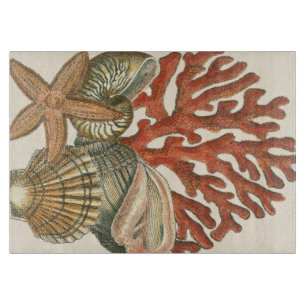 海洋生物収集 カッティングボード