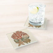 海洋生物収集 ガラスコースター (アングル)