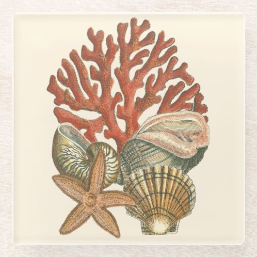 海洋生物収集 ガラスコースター (正面)