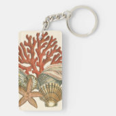 海洋生物収集 キーホルダー (裏面)