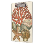 海洋生物収集 クリップボード (左)