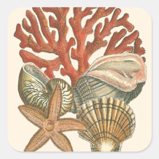 海洋生物収集 スクエアシール (正面)