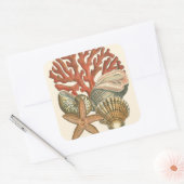 海洋生物収集 スクエアシール (封筒)