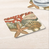 海洋生物収集 スクエアペーパーコースター (アングル)