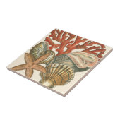 海洋生物収集 タイル (側面)