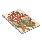 海洋生物収集 ノートブック (右側)