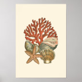 海洋生物収集 ポスター (正面)