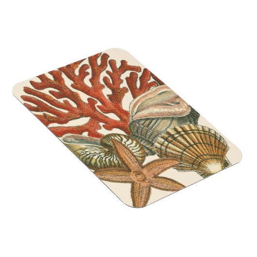 海洋生物収集 マグネット (右側)