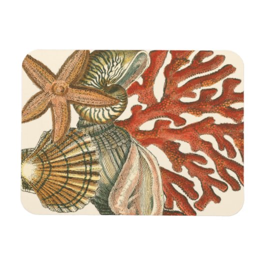 海洋生物収集 マグネット (横)