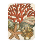 海洋生物収集 マグネット (縦)