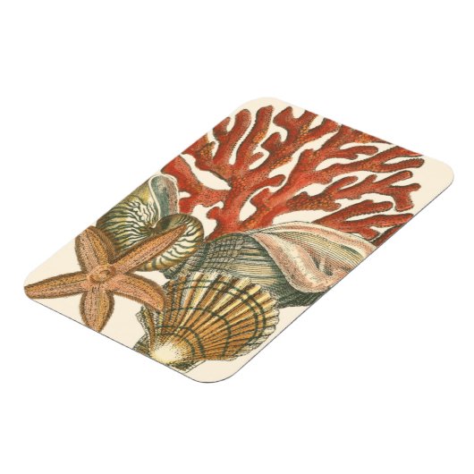 海洋生物収集 マグネット (左側)