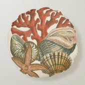 海洋生物収集 ラウンドクッション (裏面)