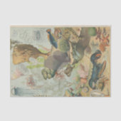 海洋生物学のクレフターの下で 薄葉紙 (正面)