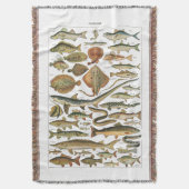 海洋生物学の美的魚図 スローブランケット (正面縦)