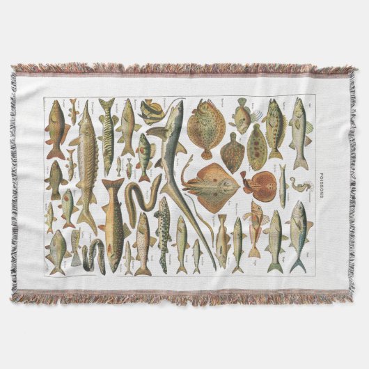 海洋生物学の美的魚図 スローブランケット (正面)