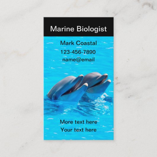 海洋生物学者イルカテーマ 名刺 (正面)