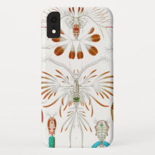 海洋生物甲殻類、コペポダ著、Ernst Haeckel iPhone XRケース