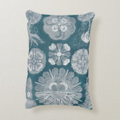 海洋生物設計図IV アクセントクッション (裏面(縦))