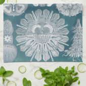 海洋生物設計図IV キッチンタオル (折り畳み)