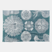 海洋生物設計図IV キッチンタオル (横)