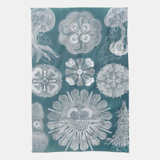 海洋生物設計図IV キッチンタオル (縦)