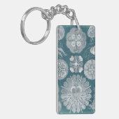 海洋生物設計図IV キーホルダー (正面左)