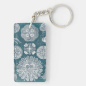 海洋生物設計図IV キーホルダー (裏面)