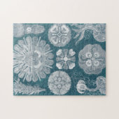 海洋生物設計図IV ジグソーパズル (横)