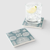 海洋生物設計図IV ストーンコースター (横)