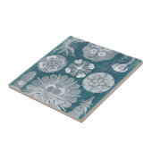 海洋生物設計図IV タイル (側面)