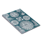 海洋生物設計図IV ノートブック (右側)