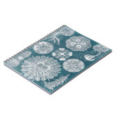 海洋生物設計図IV ノートブック (左側)