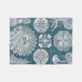 海洋生物設計図IV フリースブランケット (正面(横))