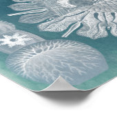 海洋生物設計図IV ポスター (角)